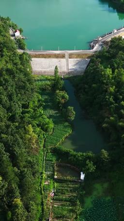 Reverse Rescue in the Great Flood episode 1