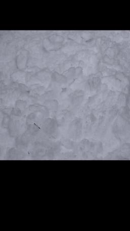 Beautiful Beast episode 25