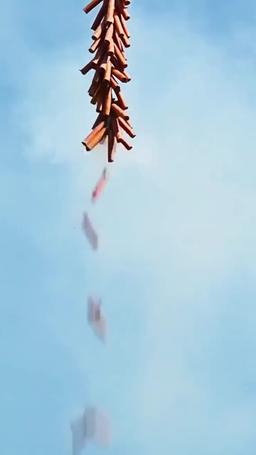 Odrodzony: Zdemaskowana episode 1