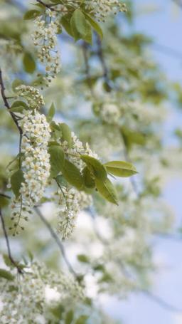 Verwechselt – Plötzlich Geliebte! episode 34