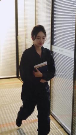 Reborn to Fly  (English-dubbed) episode 34