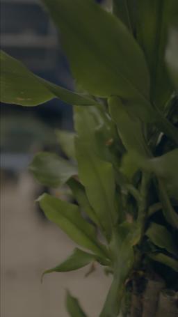 남주와 파혼하겠습니다 episode 48