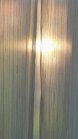 Cómo conquistar a una estrella de cine episode 11