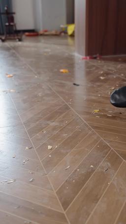 The Wife Isn't Me! episode 55