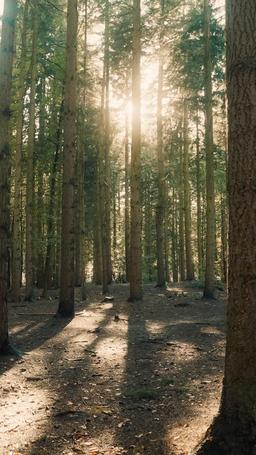 알파를 내 거로 만든 방법 episode 33