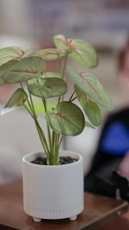 Falling for My Gold-Digger Wife episode 62