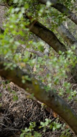 Harga Cinta Sejatiku episode 45