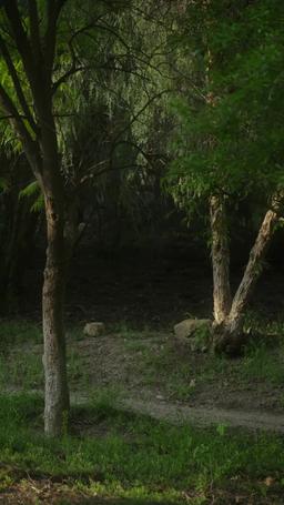 알파의 숙명,  오메가를 사로잡는다 episode 18