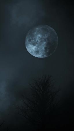 [doblado] El Rey Alfa y Su Novia Virgen episode 64