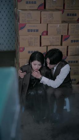 Lunar Companion episode 15