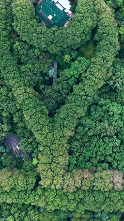 Her Whisper in the Dark episode 68