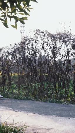 Love You, Always A Mistake episode 45