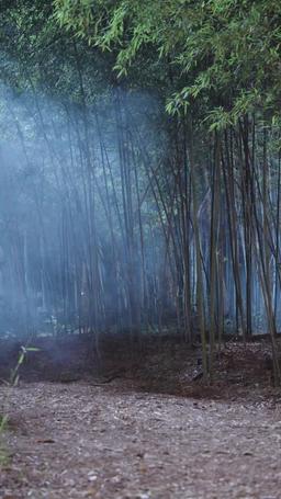 Oops! I Fooled the Evil into Being Good episode 43