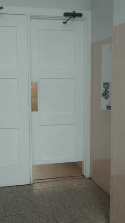 真千金 vs. 假名媛？ episode 74