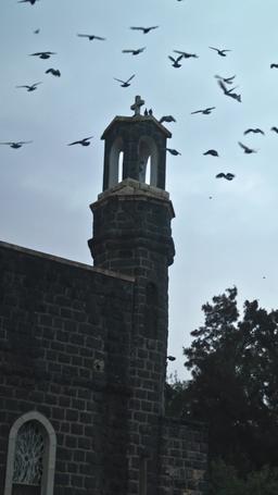 アルファの運命 episode 5