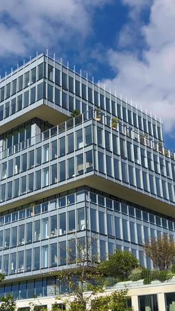 炎の中で出会った運命の人 episode 13