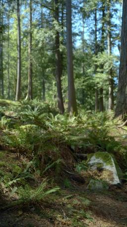 禁断の香り、運命のアルファ episode 39