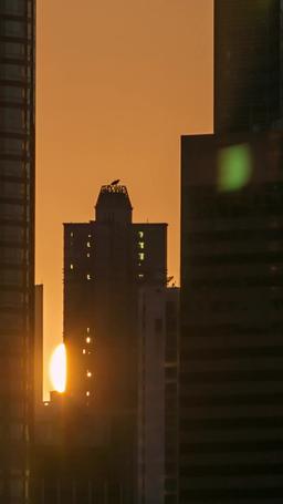 Married a Gardener, Got a Prince episode 35