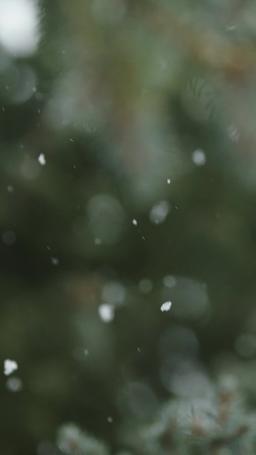 Cocinando mi camino de vuelta al amor episode 1