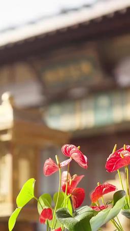 状元の悔い episode 28