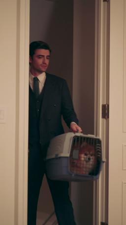 Il mio capo è il mio donatore di sperma segreto episode 17