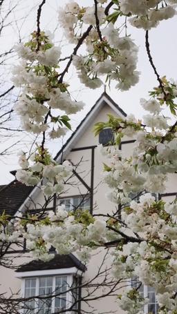 Jangan Menyesal Setelah Mengusirku episode 57