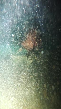 รักไล่ล่า โชคชะตาพาพบคุณชาย episode 33