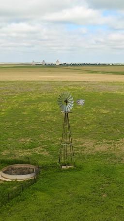 Daisy Tucker und Herr NYC episode 1