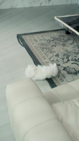 長眠後三個哥哥為我白了頭 episode 19