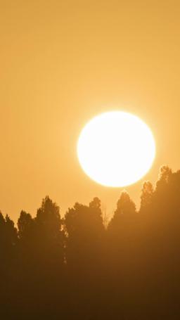 The Power of Love: A Disabled Tycoon's Heart episode 51