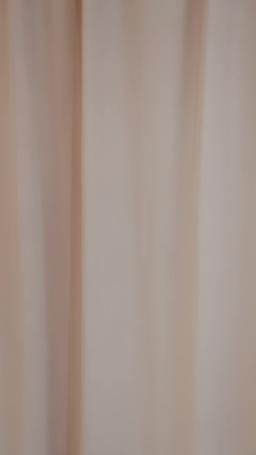 可愛い子を拾ったら、御曹司もついてきました episode 35