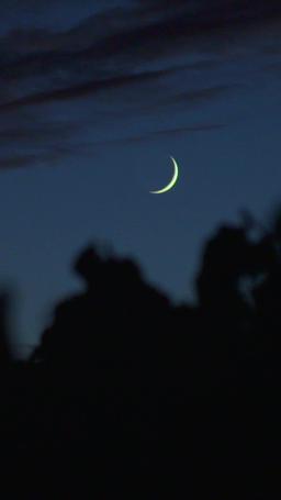 Kurt Kral'ın İntikamı: Kurt kral ve İnsan Eşi episode 27