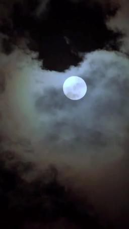 Twice Betrayed, Once Avenged episode 16