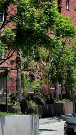 Un incontro predestinato episode 49