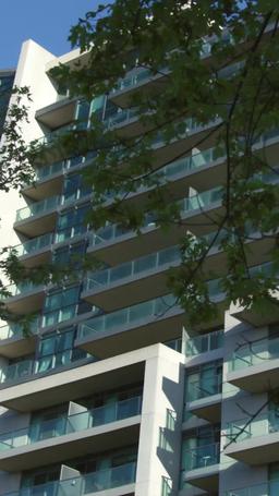 九尾狐と運命のつがい episode 42