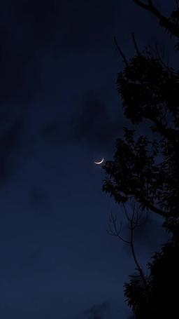 Married to My Brother’s Ex episode 1