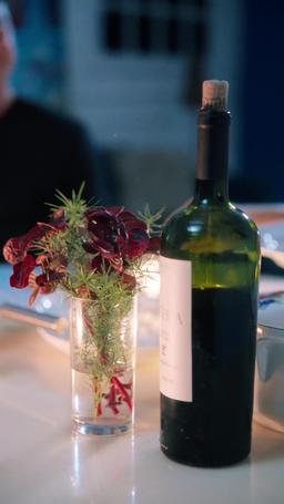 A vida secreta do meu marido bilionário episode 9