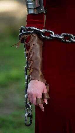 Reina Alfa traicionada renace de sus cenizas episode 69