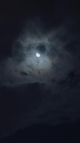 負け犬の私がバージンを捨てる！ episode 53