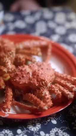 [dublado] Brilhei na Festa do Divórcio episode 1