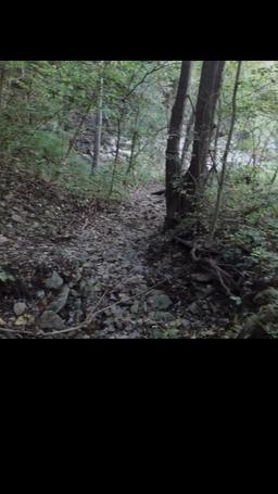 Dagger Kiss: Enchanted Forest episode 5