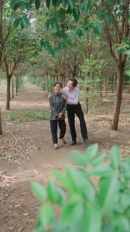 燦燦萱草花 episode 28