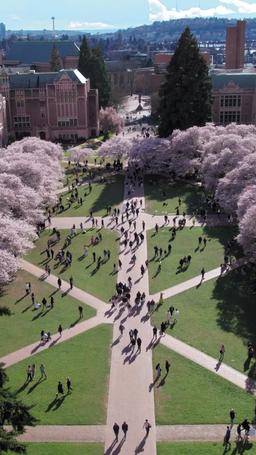 The Tutor Trap episode 39