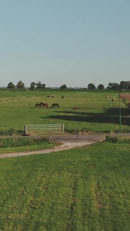 บ่วงเสน่หาหนุ่มคาวบอย episode 65