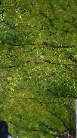 Mom, Sis, I Regret Now! episode 4