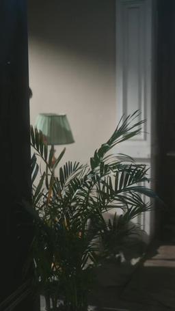 Through Every Life to Find You episode 20