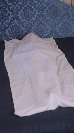 Il re alfa e la sua sposa vergine episode 63