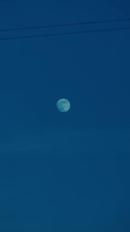 見知らぬ夫に 再び恋に落ちる episode 24