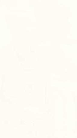 独身大富豪の子供を妊娠 episode 6