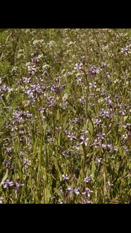 Bookworm and the Beast episode 30